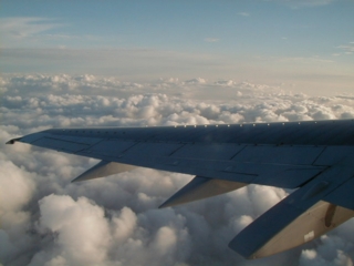 095-Plane_Wing.jpg