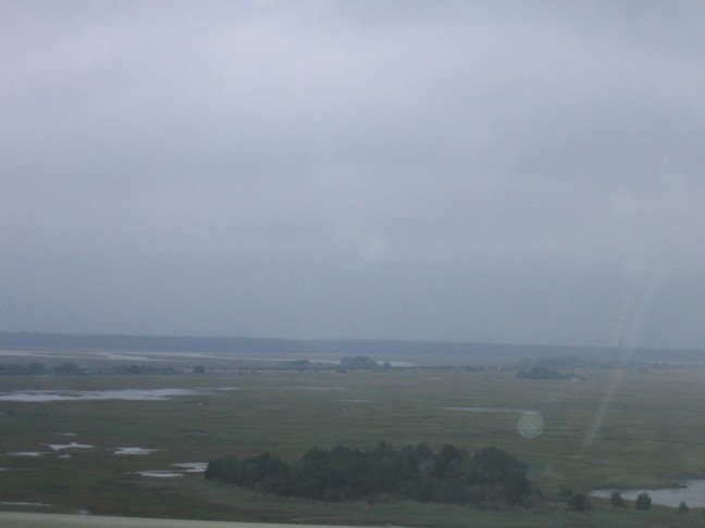 1147_IMG.jpg