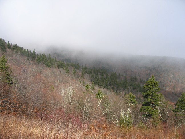 1168_IMG.jpg