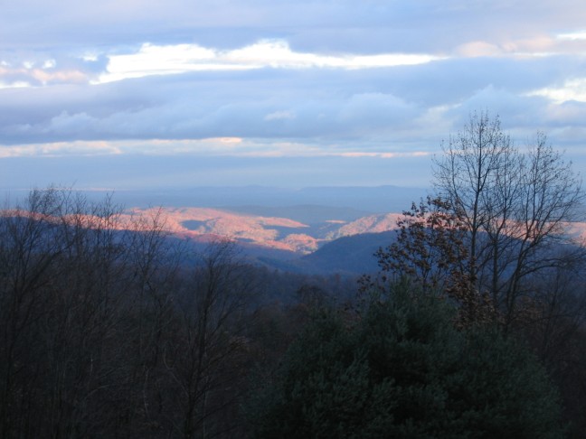 1232_IMG.jpg