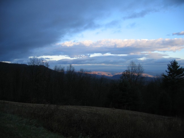 1233_IMG.jpg