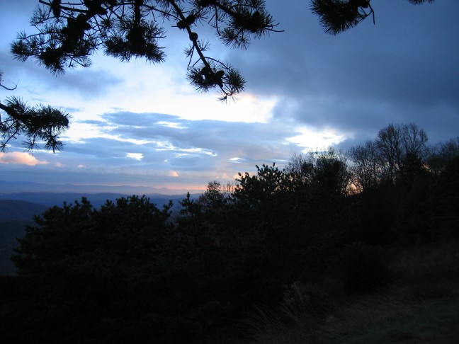1239_IMG.jpg