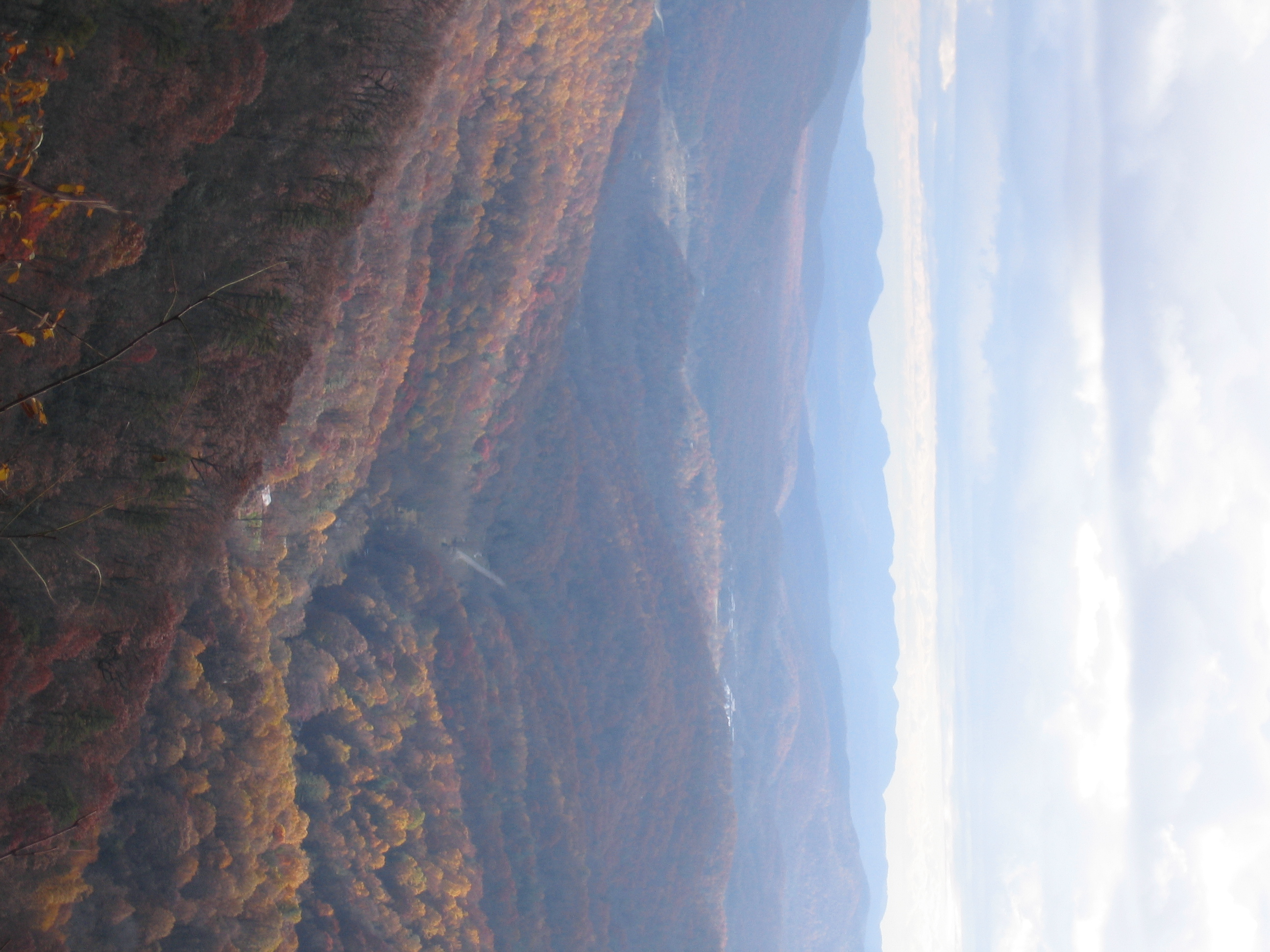 1186_IMG.JPG